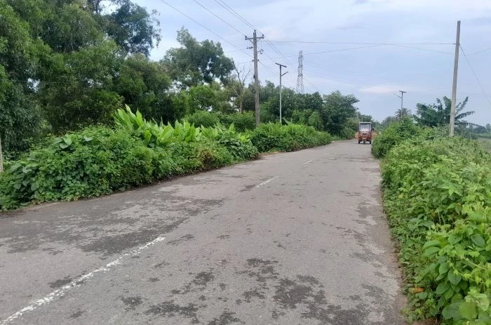 কুমিল্লা বিবিরবাজার স্থল বন্দর সড়ক-গোমতীর পাড়জুড়ে আগাছার রাজত্ব, উধাও সোলার লাইটে অন্ধকারময় সড়ক